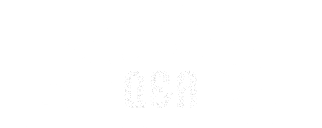 Q&A